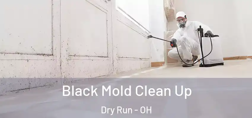 Black Mold Clean Up Dry Run - OH