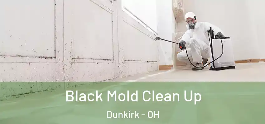Black Mold Clean Up Dunkirk - OH