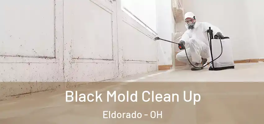 Black Mold Clean Up Eldorado - OH