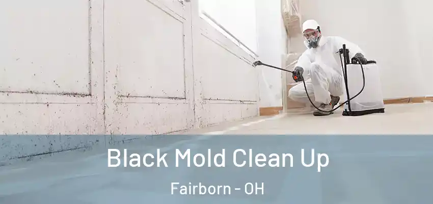 Black Mold Clean Up Fairborn - OH