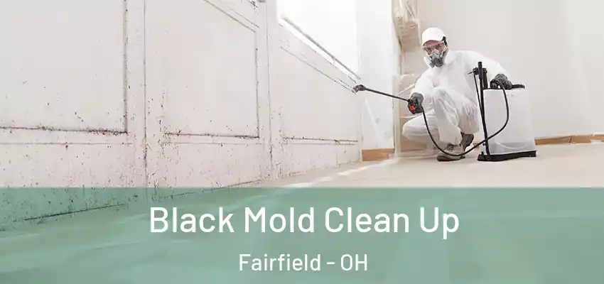 Black Mold Clean Up Fairfield - OH