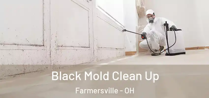  Black Mold Clean Up Farmersville - OH