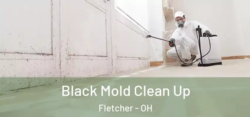 Black Mold Clean Up Fletcher - OH
