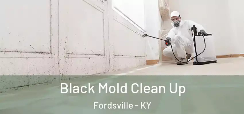  Black Mold Clean Up Fordsville - KY