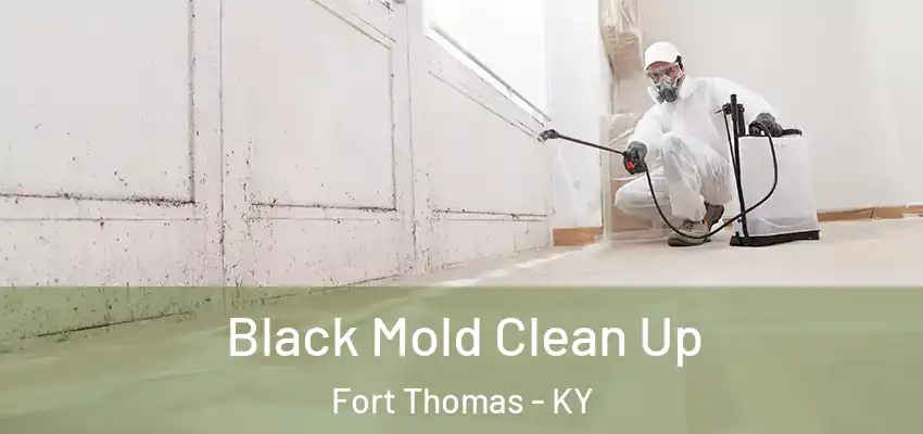 Black Mold Clean Up Fort Thomas - KY