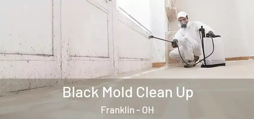 Black Mold Clean Up Franklin - OH