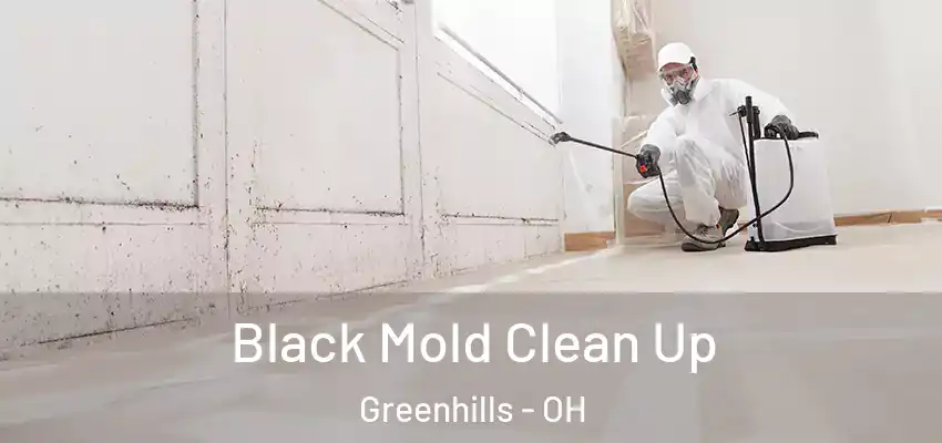  Black Mold Clean Up Greenhills - OH