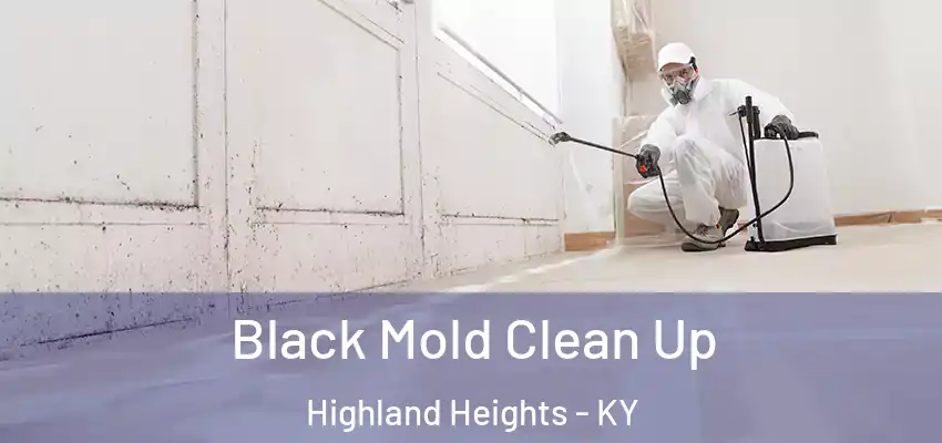 Black Mold Clean Up Highland Heights - KY