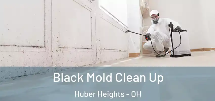  Black Mold Clean Up Huber Heights - OH