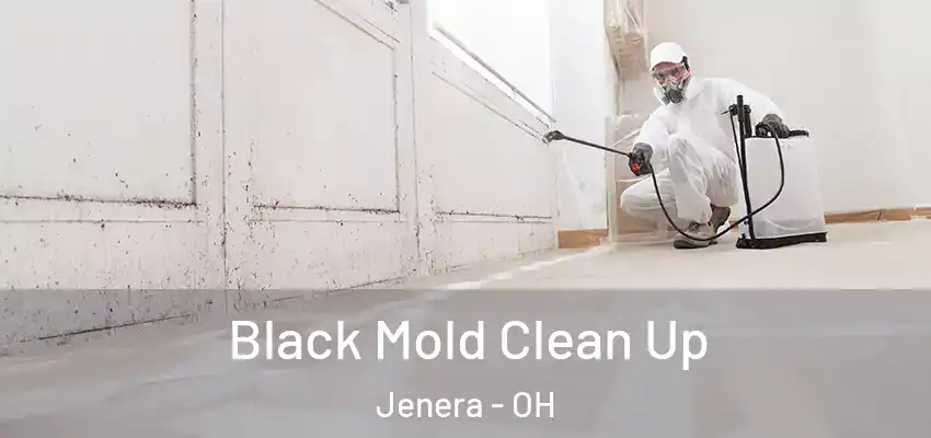 Black Mold Clean Up Jenera - OH