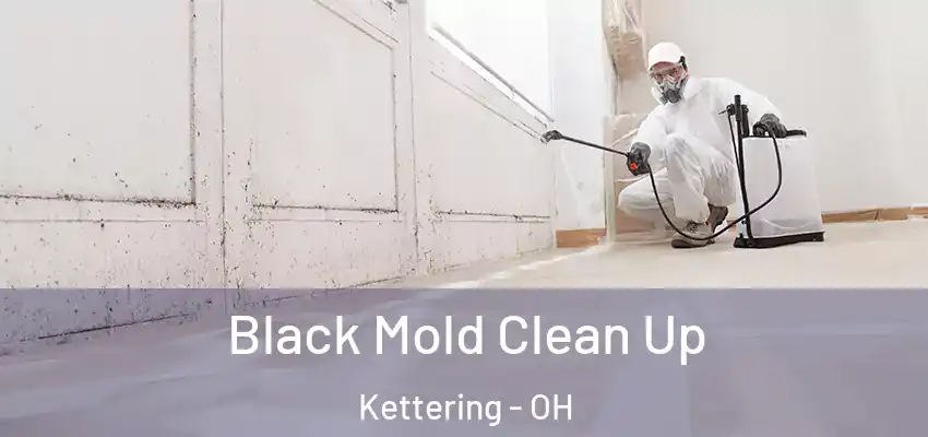 Black Mold Clean Up Kettering - OH