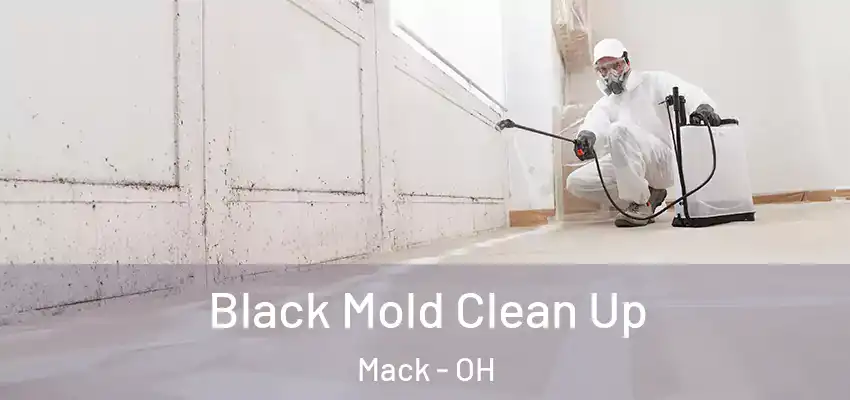 Black Mold Clean Up Mack - OH