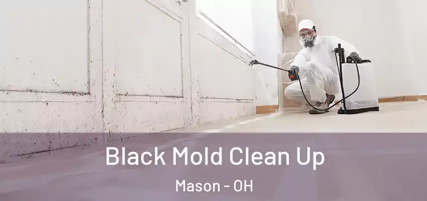 Black Mold Clean Up Mason - OH