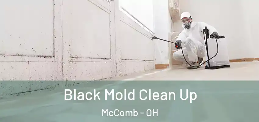 Black Mold Clean Up McComb - OH