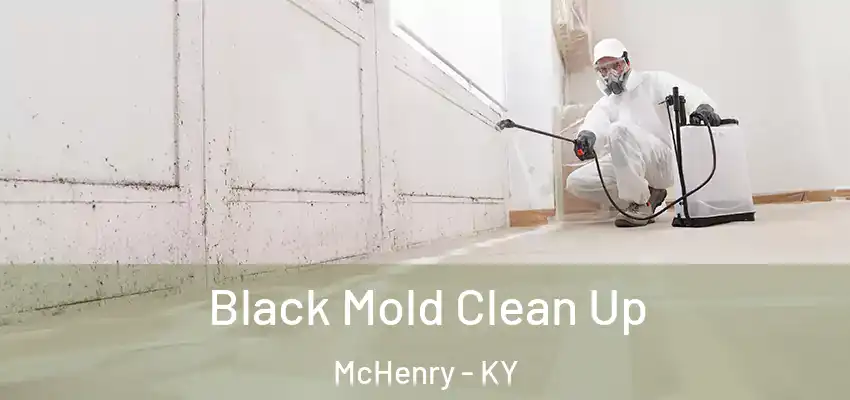 Black Mold Clean Up McHenry - KY