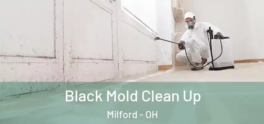 Black Mold Clean Up Milford - OH