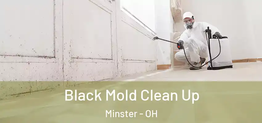 Black Mold Clean Up Minster - OH