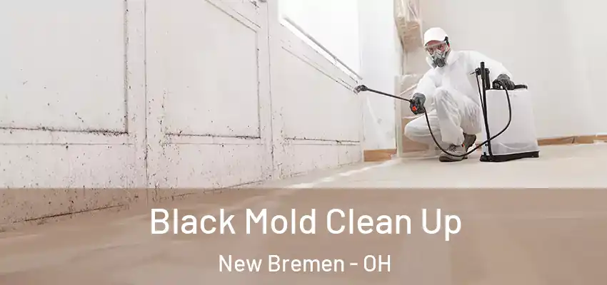  Black Mold Clean Up New Bremen - OH