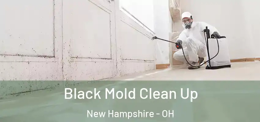  Black Mold Clean Up New Hampshire - OH