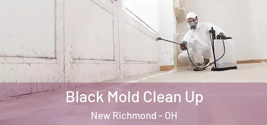  Black Mold Clean Up New Richmond - OH