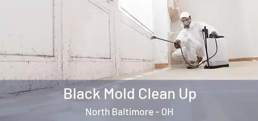  Black Mold Clean Up North Baltimore - OH