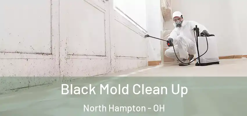 Black Mold Clean Up North Hampton - OH