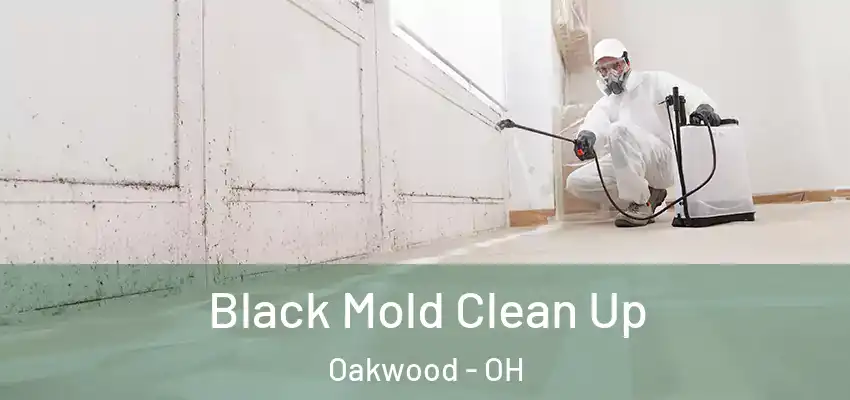  Black Mold Clean Up Oakwood - OH