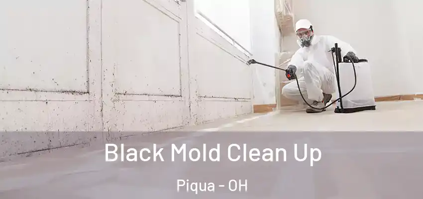 Black Mold Clean Up Piqua - OH