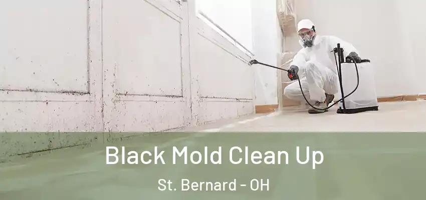 Black Mold Clean Up St. Bernard - OH