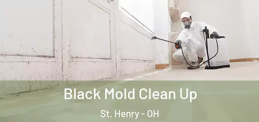  Black Mold Clean Up St. Henry - OH