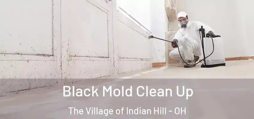 Black Mold Clean Up The Village of Indian Hill - OH