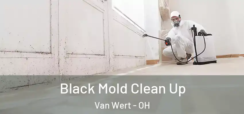 Black Mold Clean Up Van Wert - OH