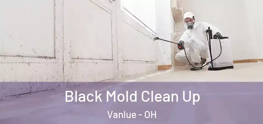 Black Mold Clean Up Vanlue - OH