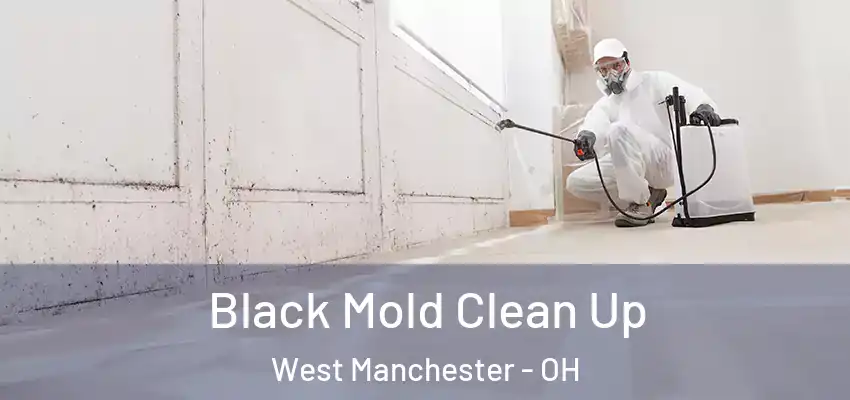  Black Mold Clean Up West Manchester - OH