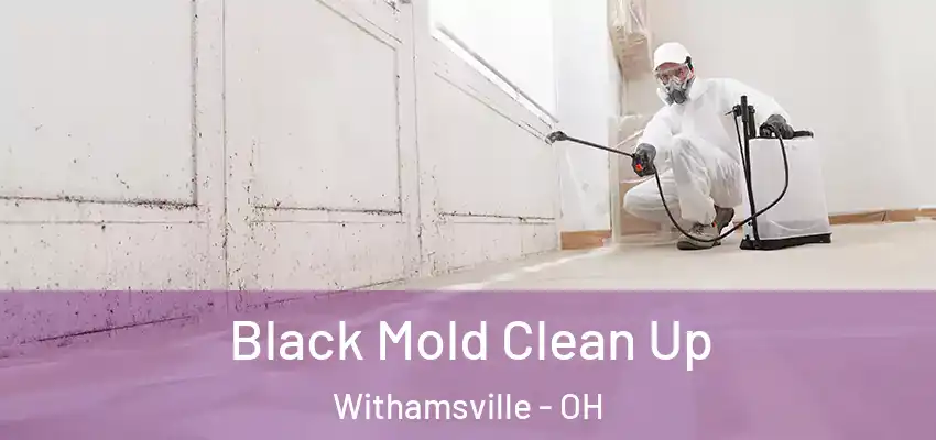  Black Mold Clean Up Withamsville - OH