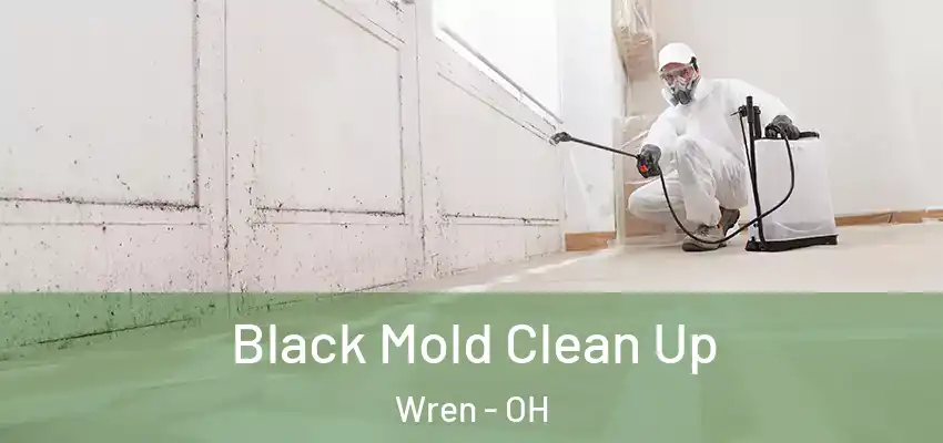 Black Mold Clean Up Wren - OH