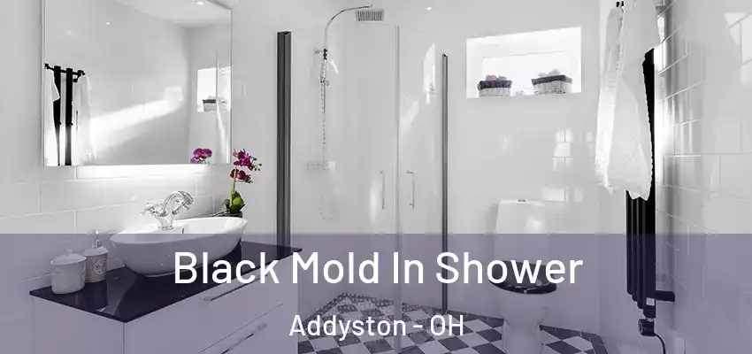Black Mold In Shower Addyston - OH