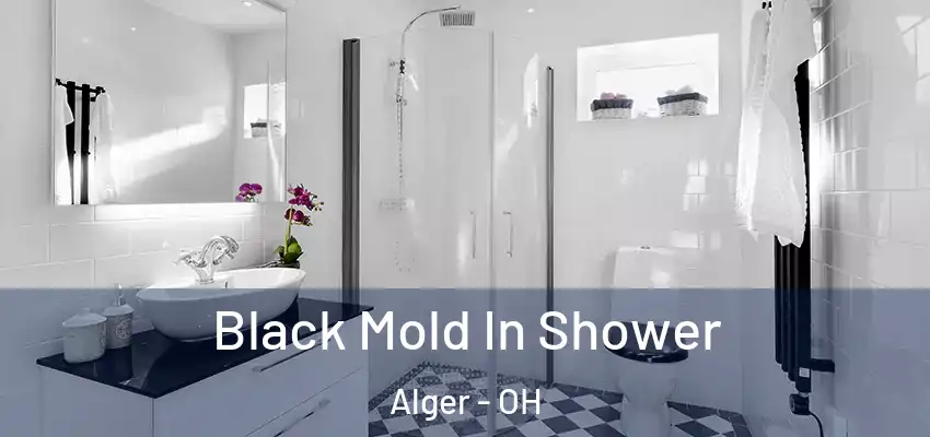 Black Mold In Shower Alger - OH