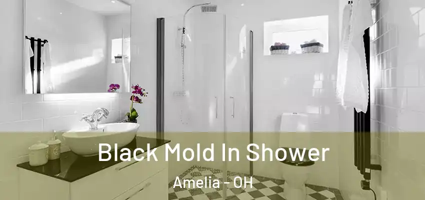 Black Mold In Shower Amelia - OH