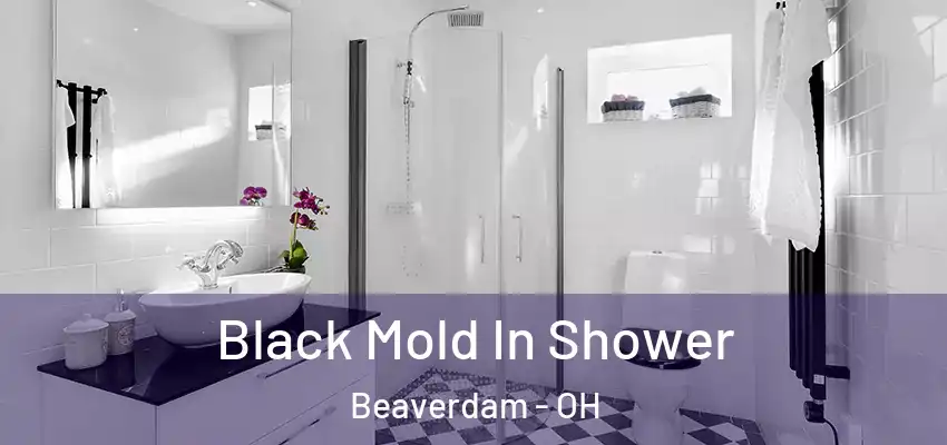 Black Mold In Shower Beaverdam - OH