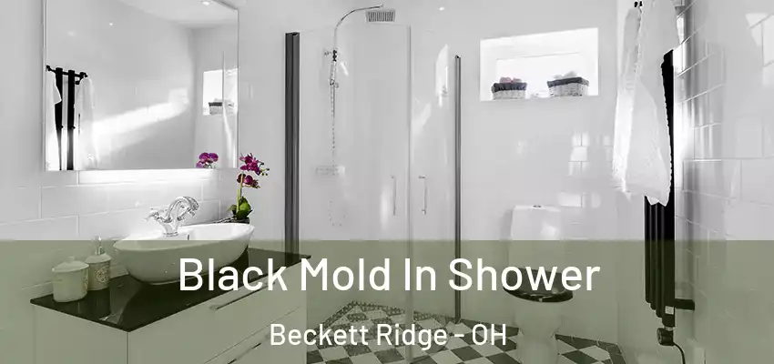  Black Mold In Shower Beckett Ridge - OH