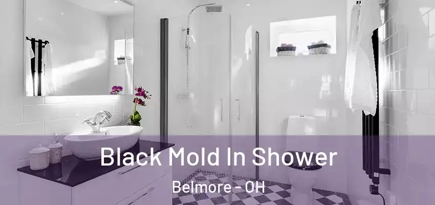 Black Mold In Shower Belmore - OH