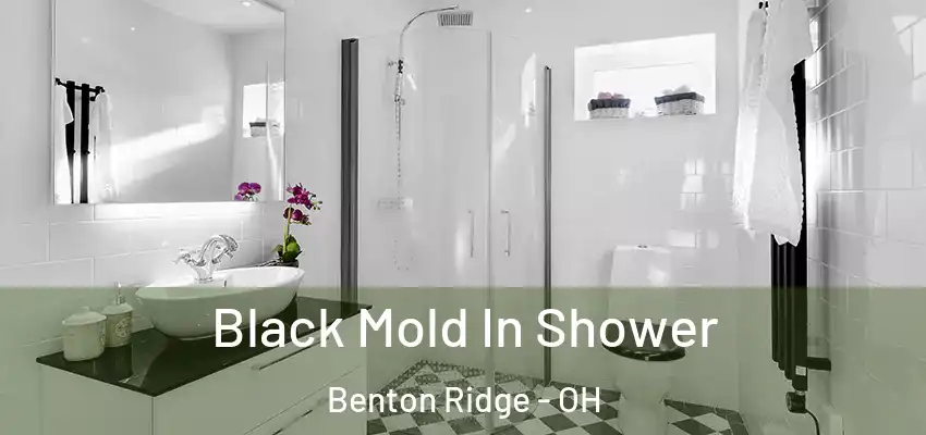  Black Mold In Shower Benton Ridge - OH