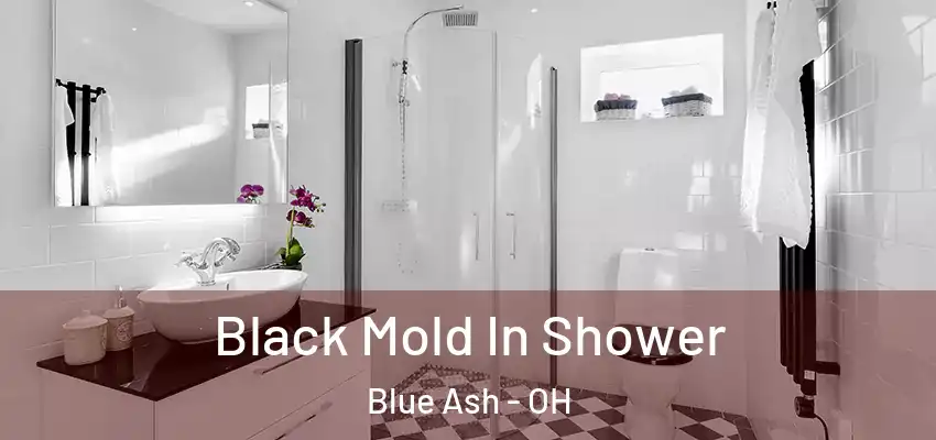 Black Mold In Shower Blue Ash - OH
