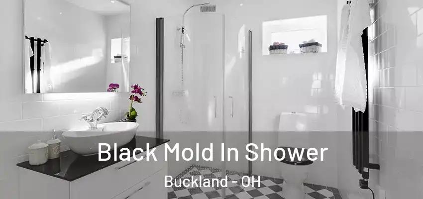  Black Mold In Shower Buckland - OH