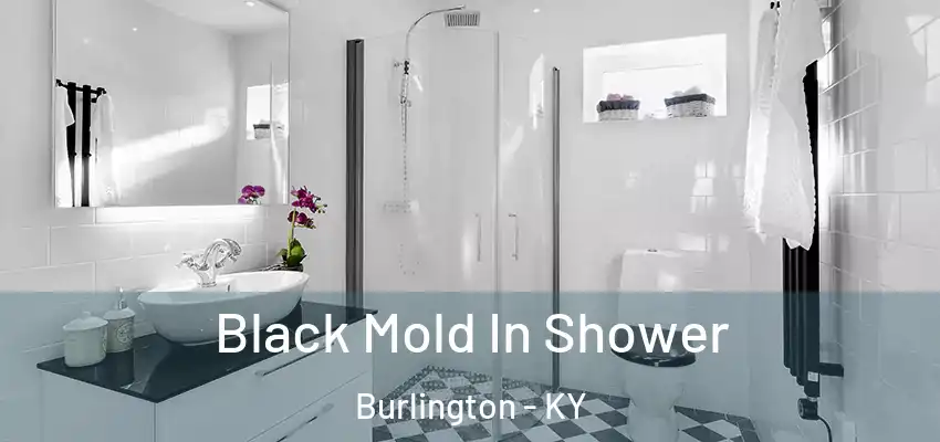  Black Mold In Shower Burlington - KY