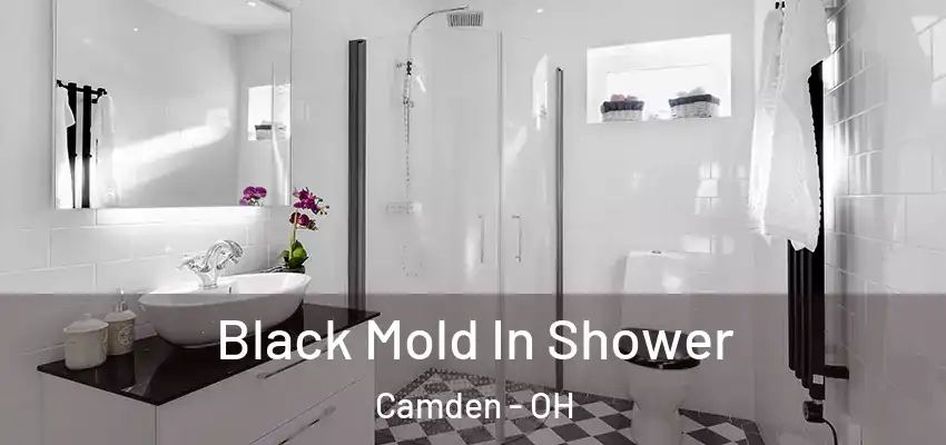 Black Mold In Shower Camden - OH