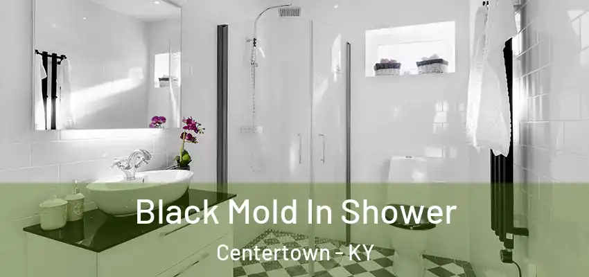 Black Mold In Shower Centertown - KY