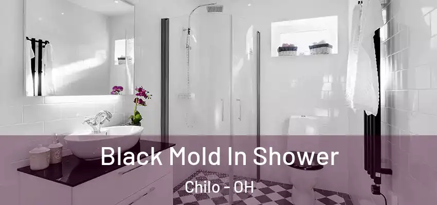  Black Mold In Shower Chilo - OH