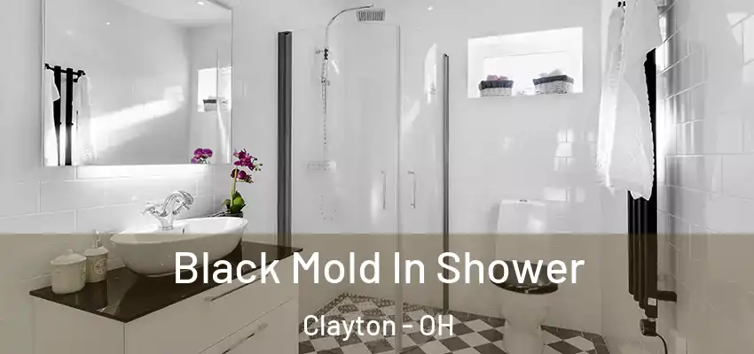Black Mold In Shower Clayton - OH